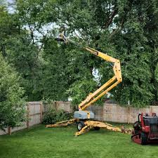 Professional  Tree Services in Country Clu, CA